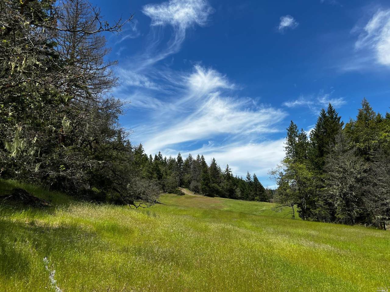 277 Bluff Creek Road - Photo 1