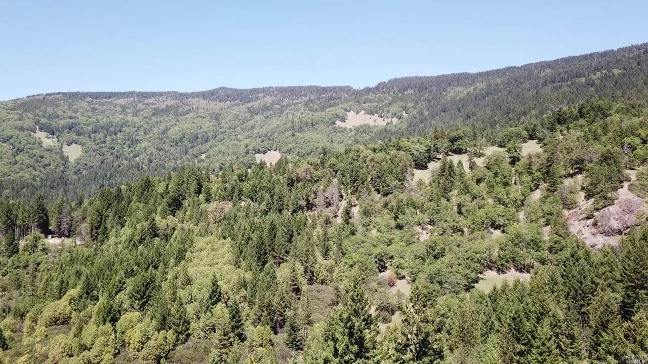 576 Lamb Creek Road - Photo 1
