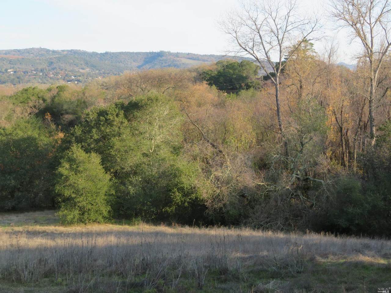 0 Arnold Drive - Photo 1