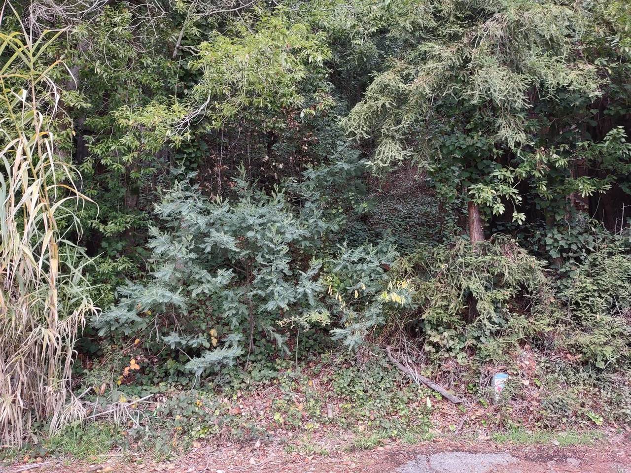 15681 Old River Road - Photo 1