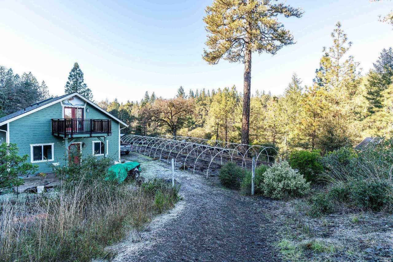 2105 Woodman Creek Road - Photo 1