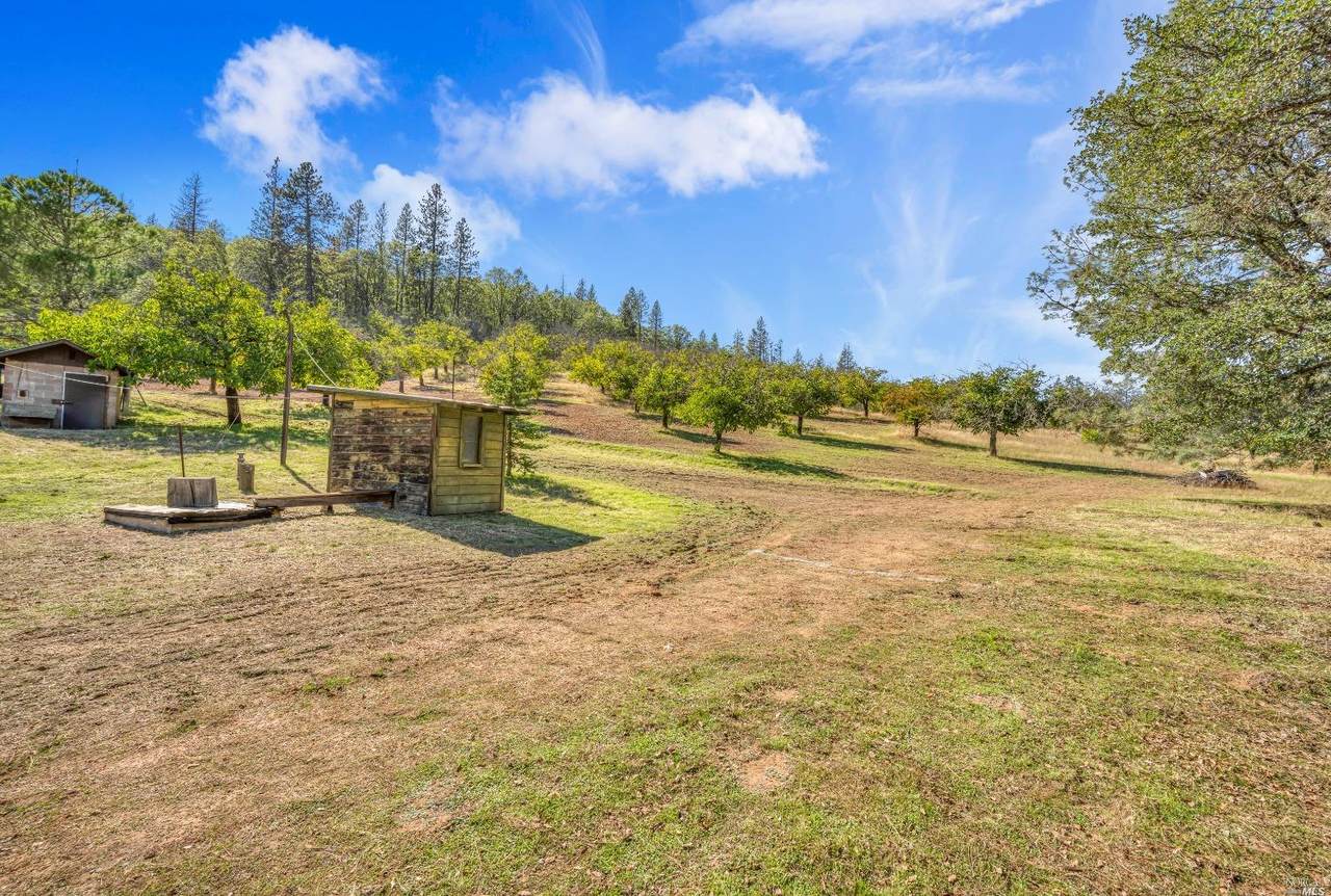 11335 Seigler Springs North Road - Photo 1