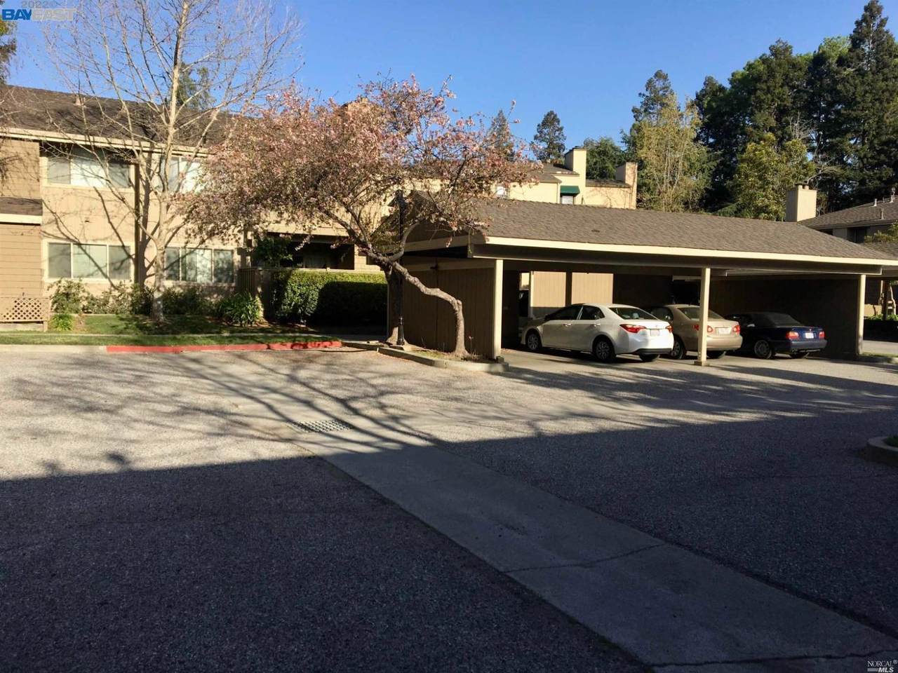 5526 Makati Circle - Photo 1
