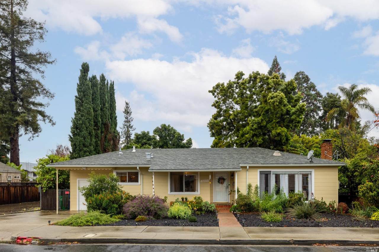 20225 Concord Avenue - Photo 1