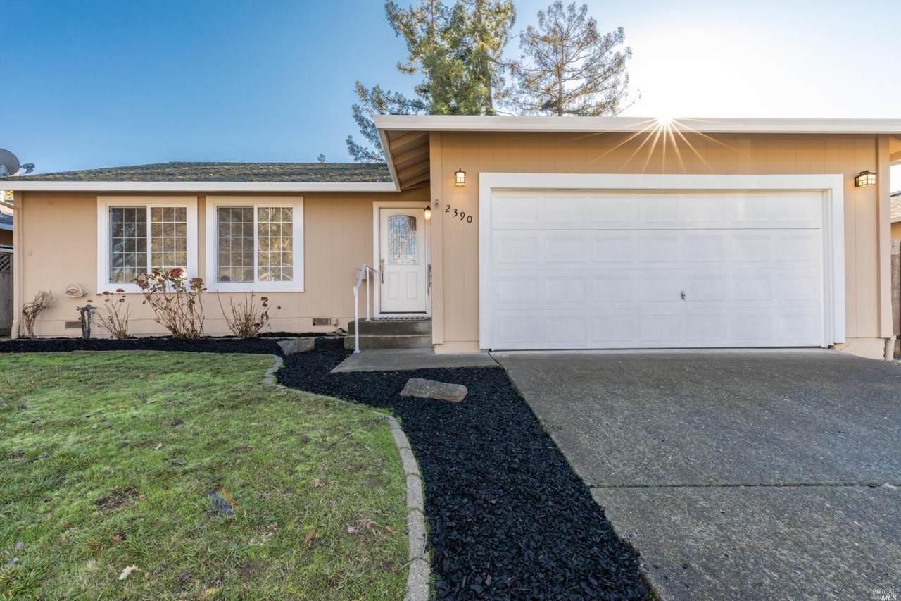 2390 Julio Lane - Photo 1