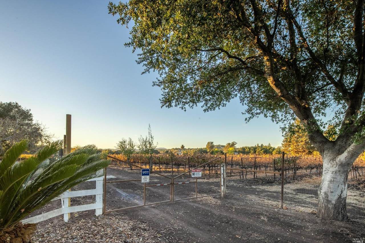 0 Berry Lane - Photo 1