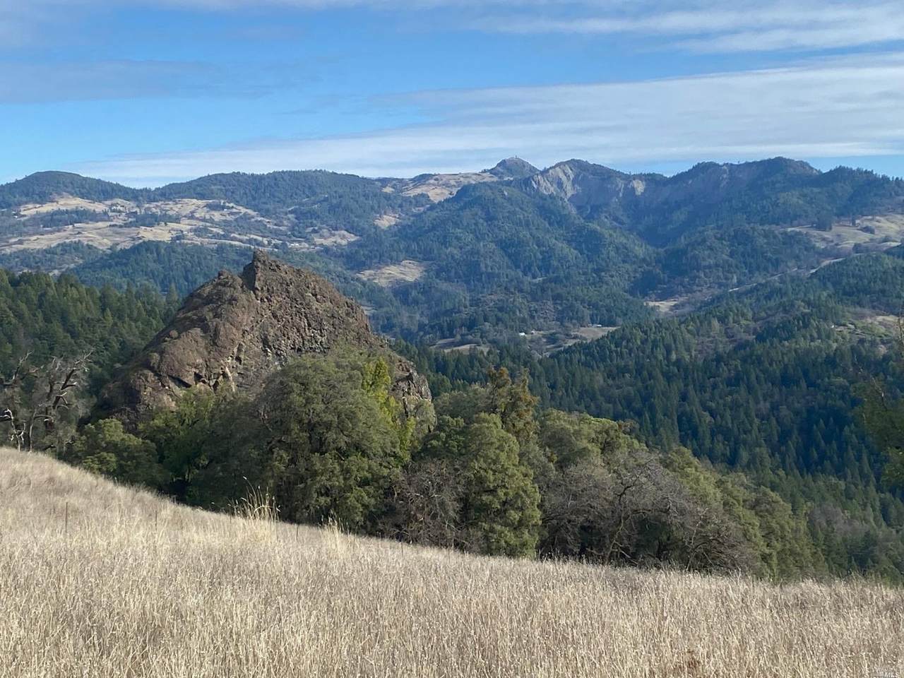 52300 North Highway101 - Photo 1