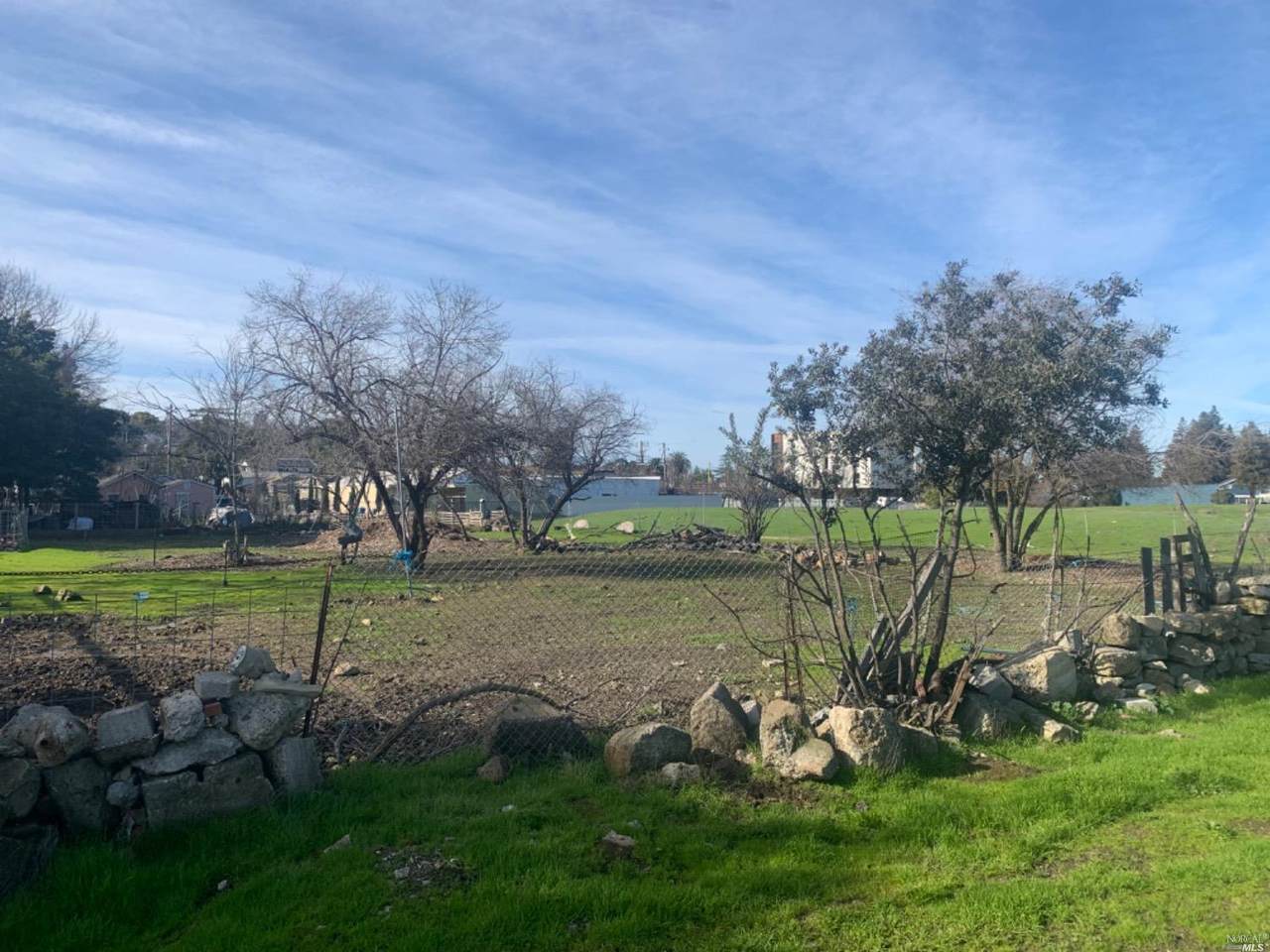 2107 Marin Street - Photo 1