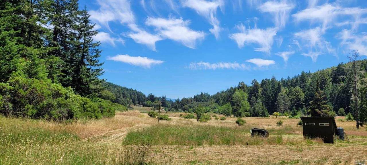 31250 Sherwood Road - Photo 1