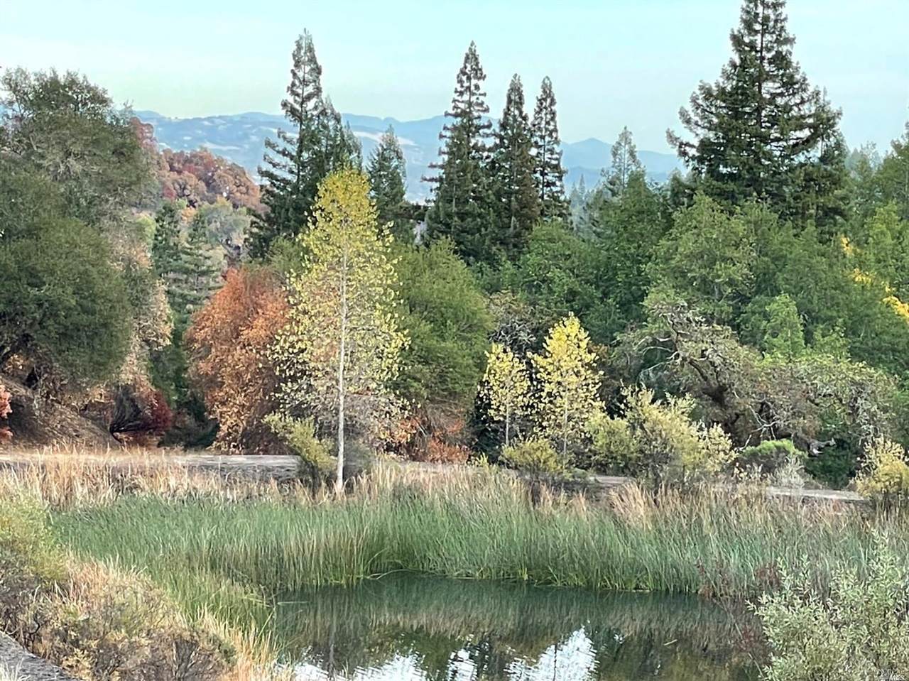 0 Wallace Creek Road - Photo 1