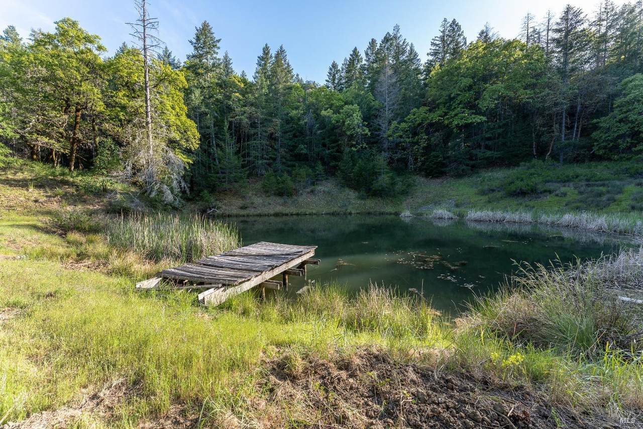 0 Cougar Road - Photo 1