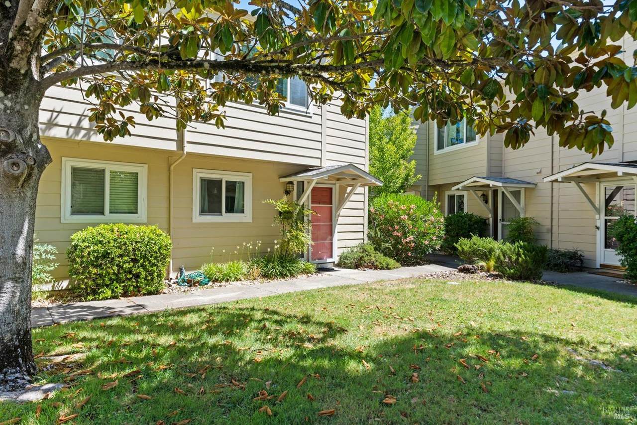 280 San Jacinta Drive - Photo 1