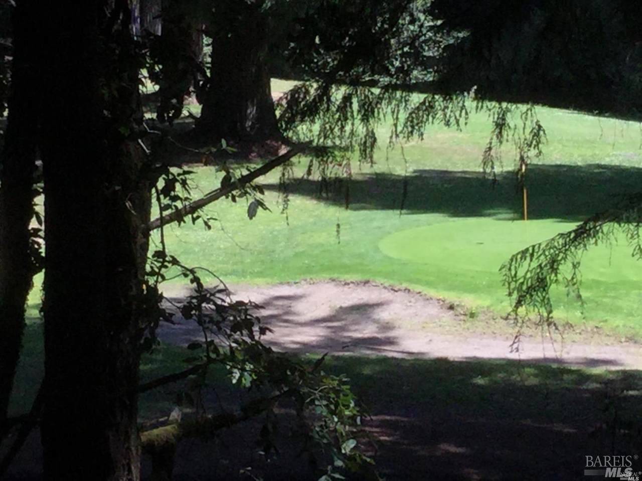 24960 Clover Road - Photo 1