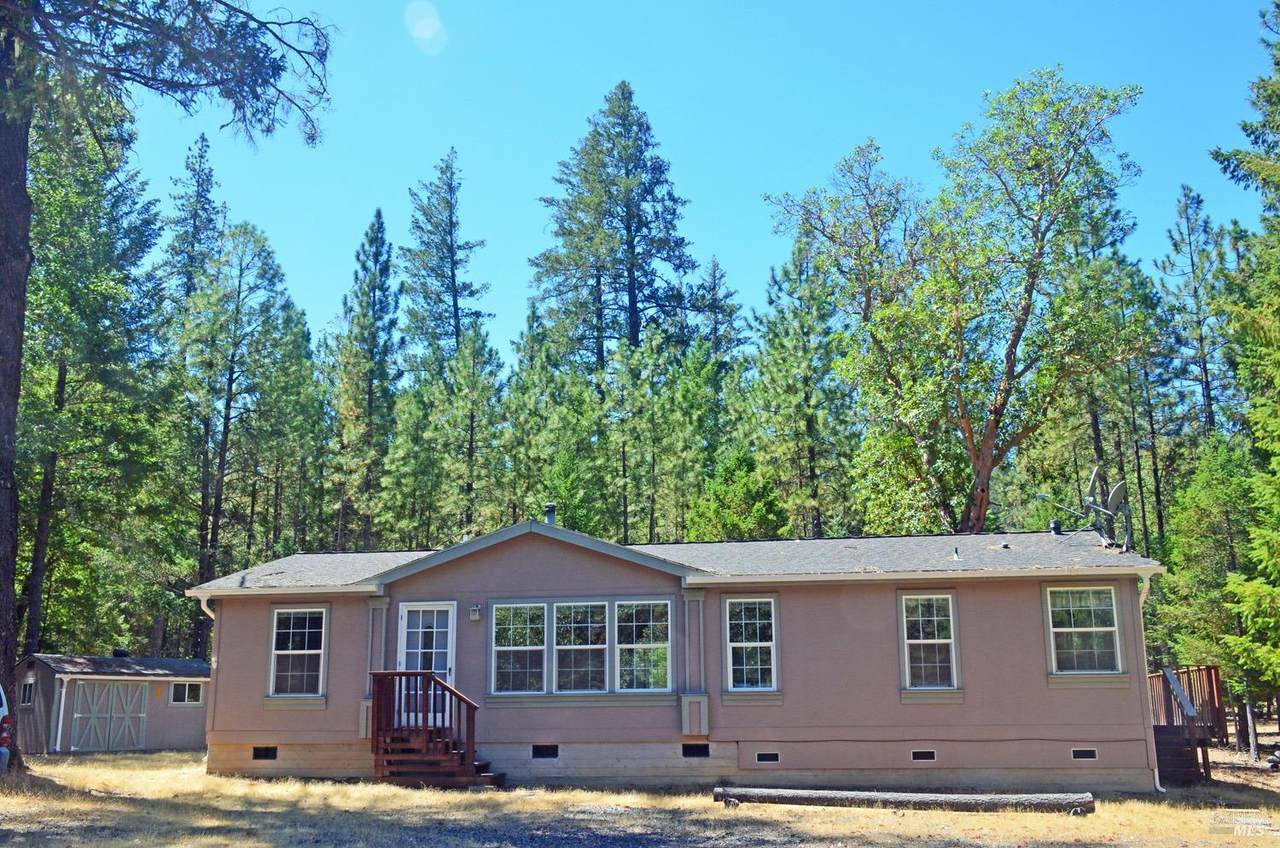 30581 Polo Field Road - Photo 1