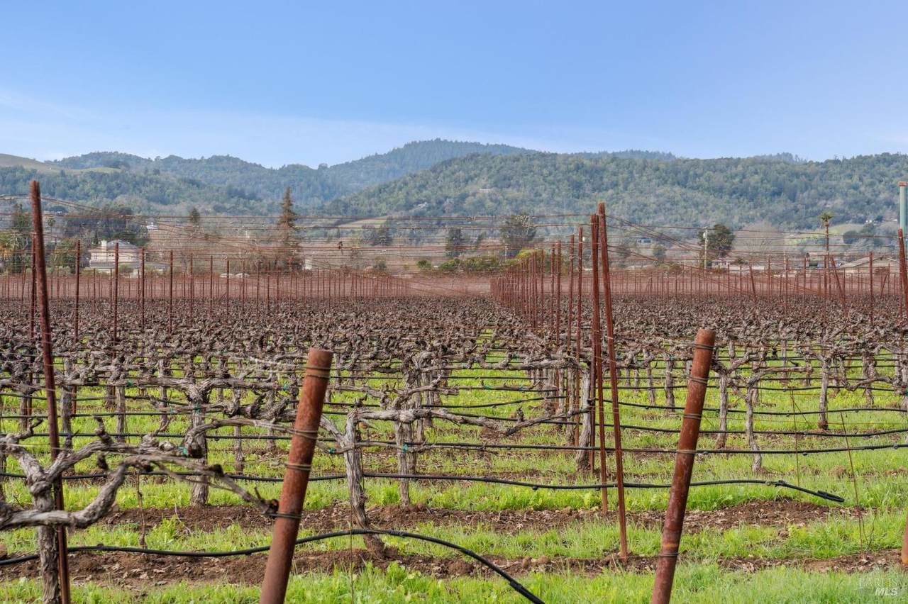 1076 Orchard Avenue - Photo 1