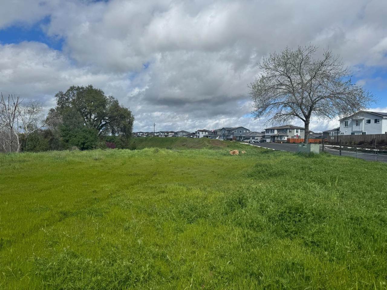 0 Valley Oak Drive - Photo 1