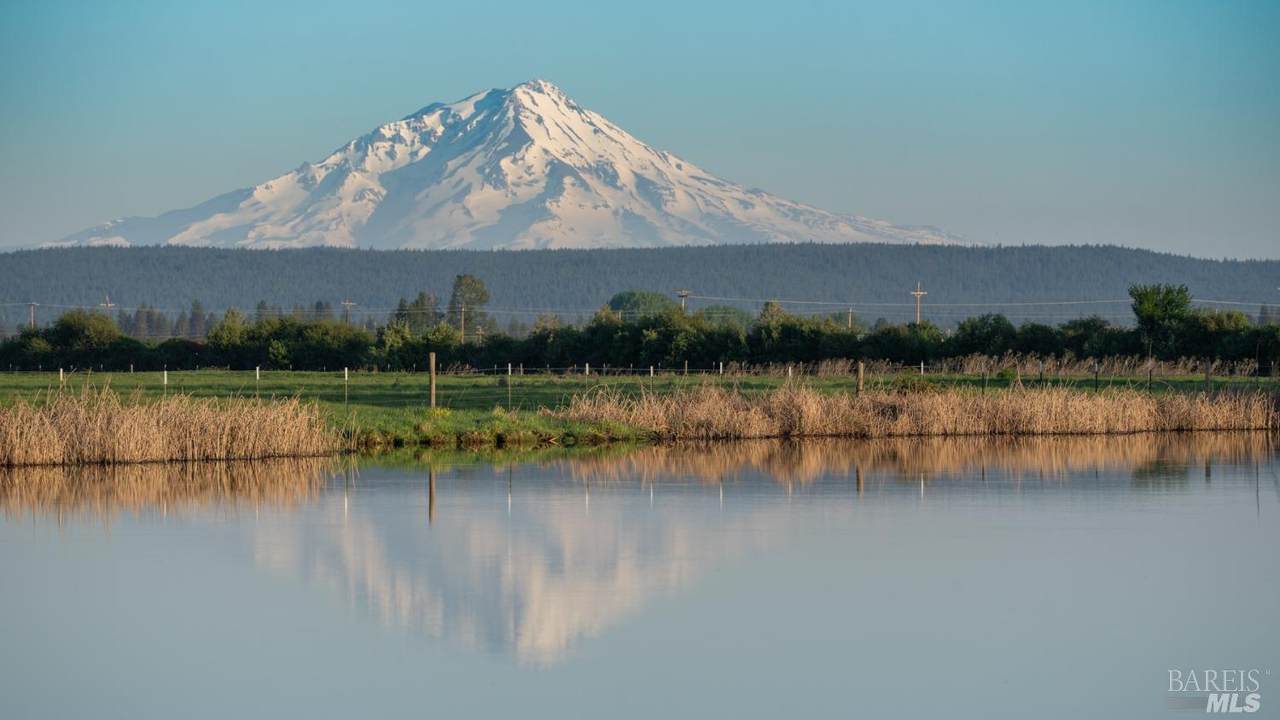 42369 Horr Road - Photo 1