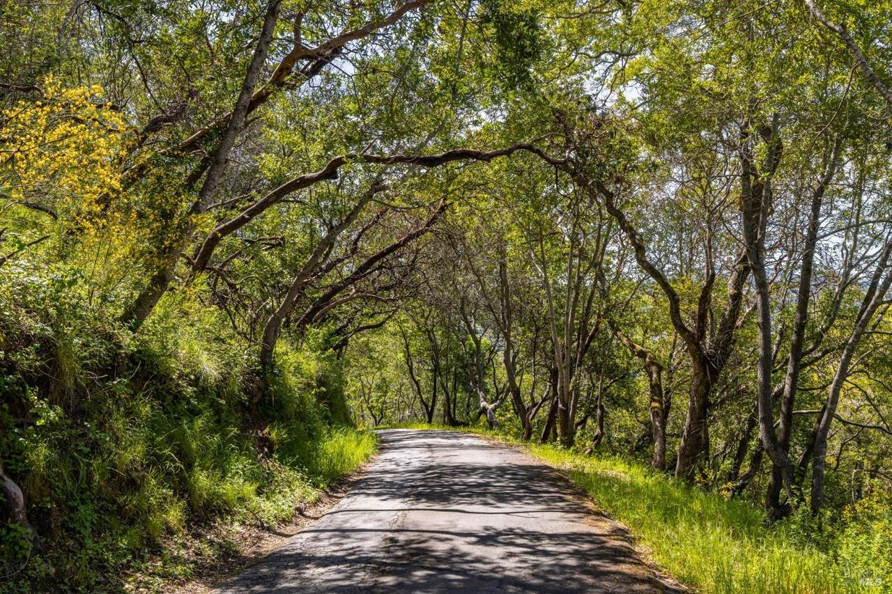 141 Granlee Road - Photo 1