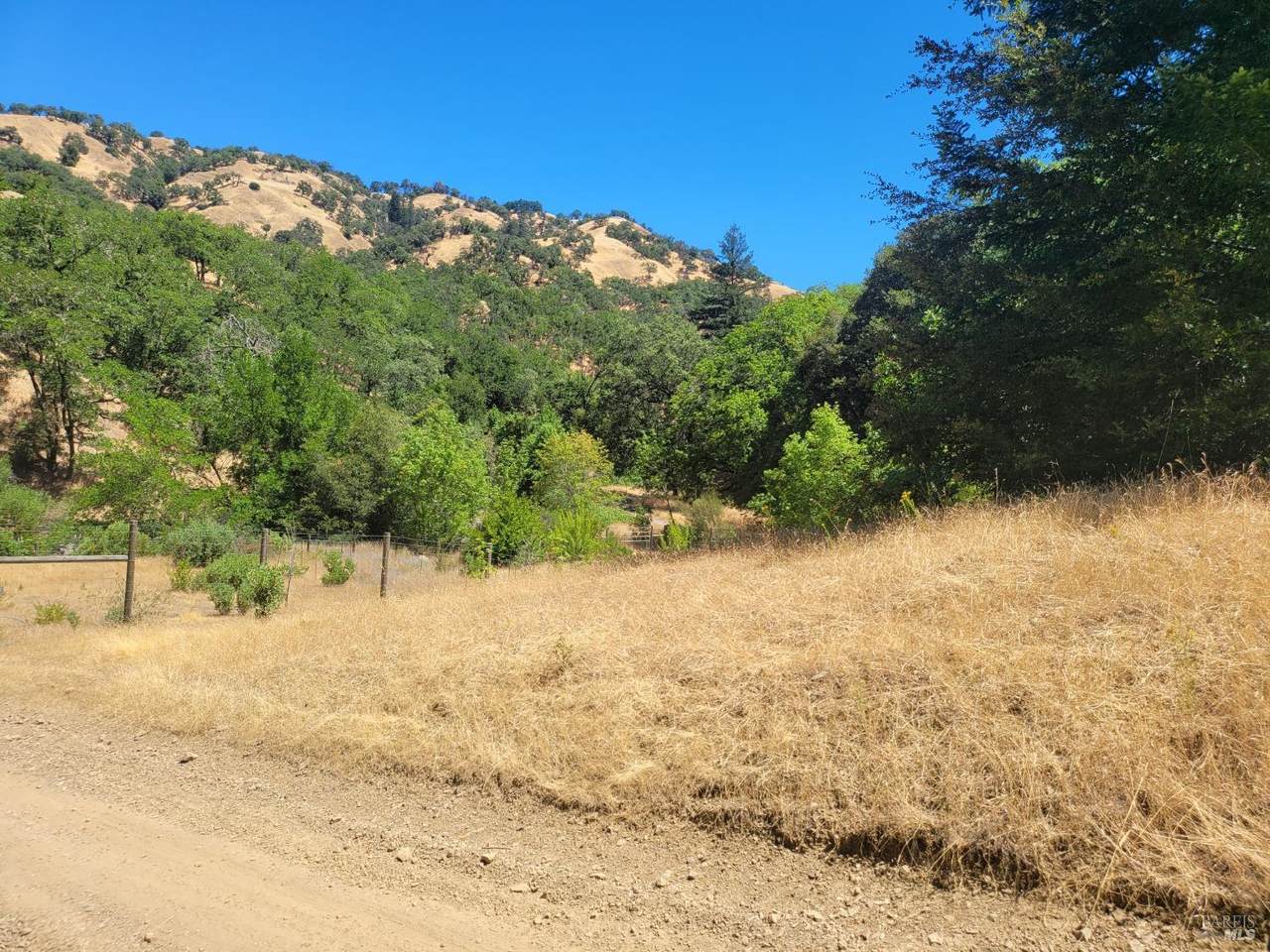 11520 Skaggs Springs Road - Photo 1