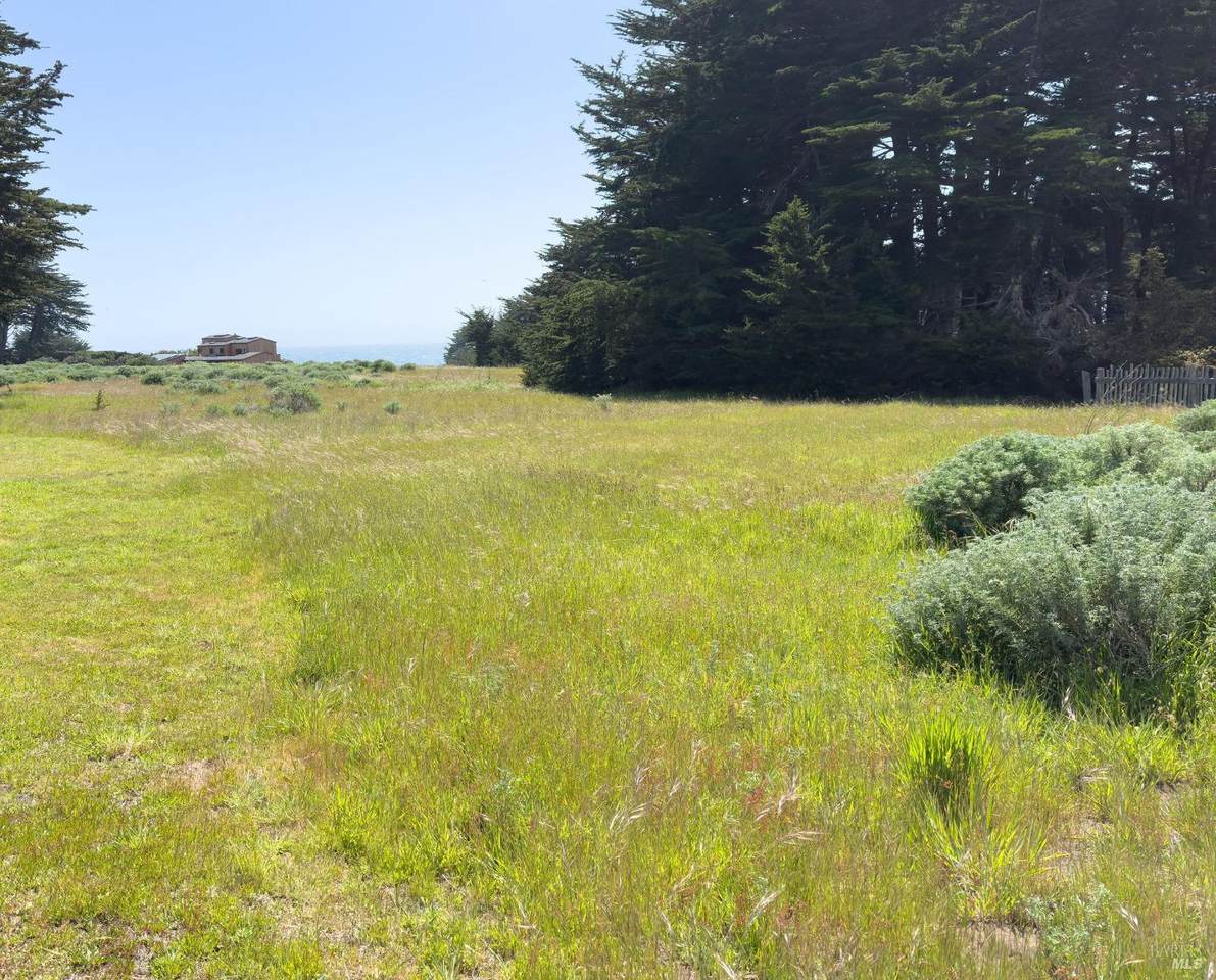 39463 Leeward Road - Photo 1