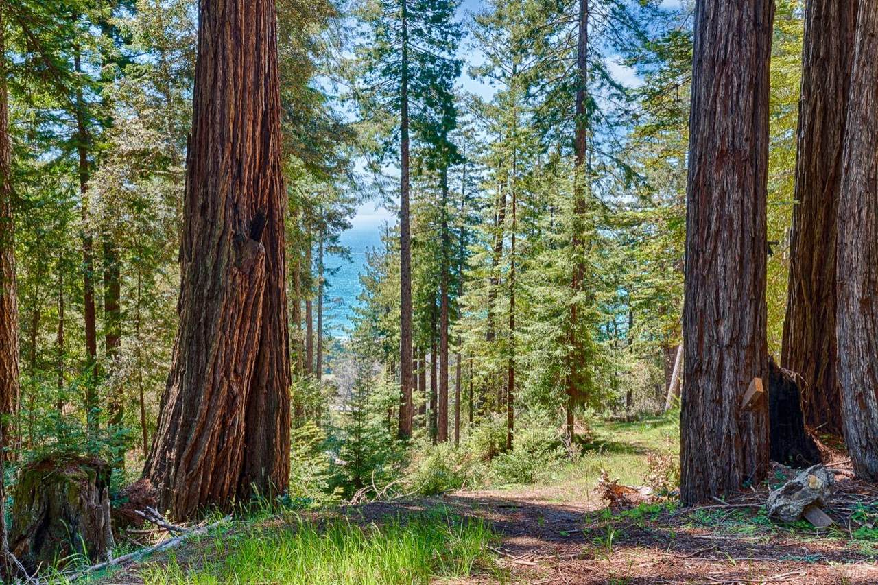 22196 Umland Circle - Photo 1