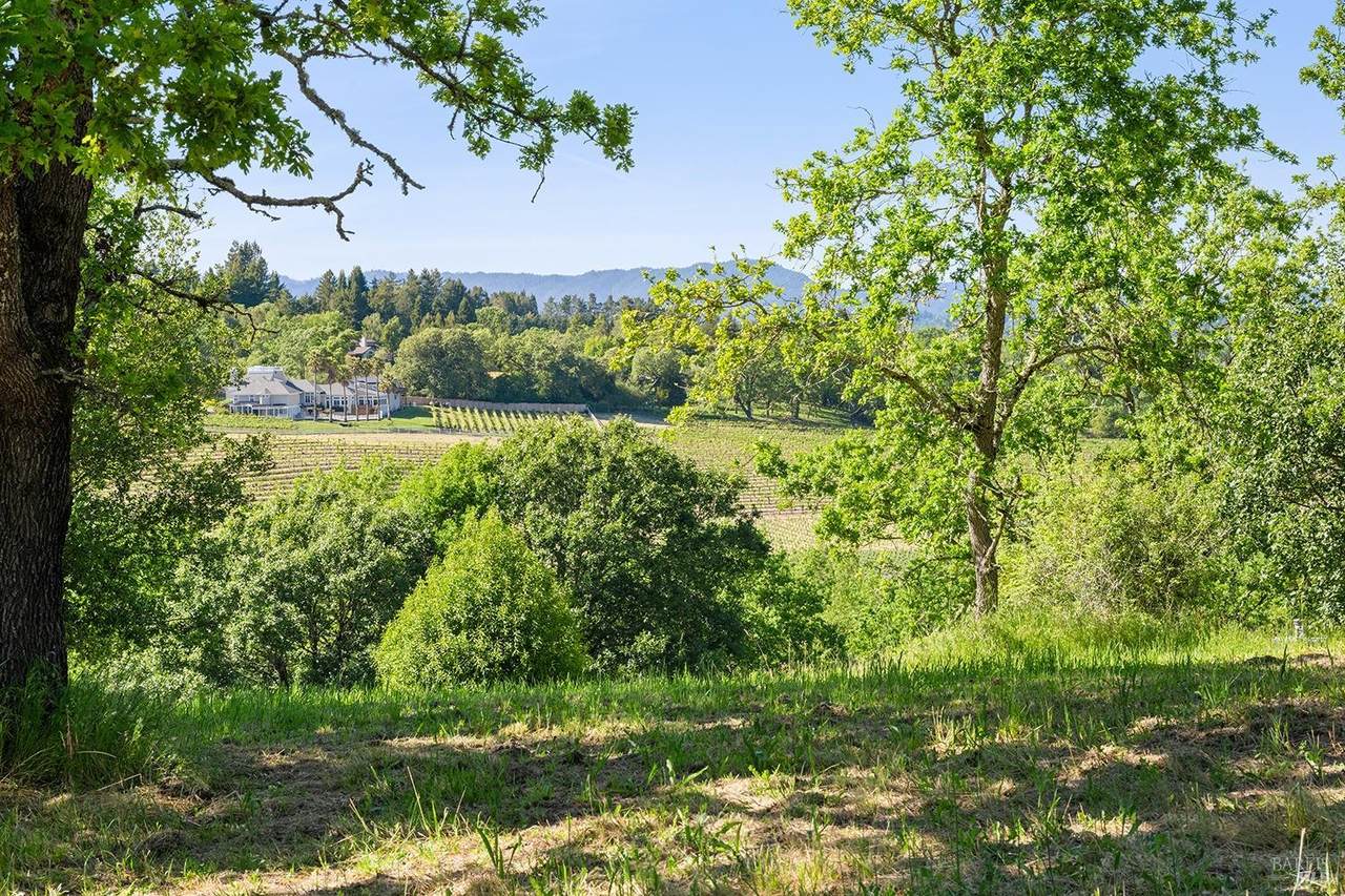 440 Wilson Road - Photo 1