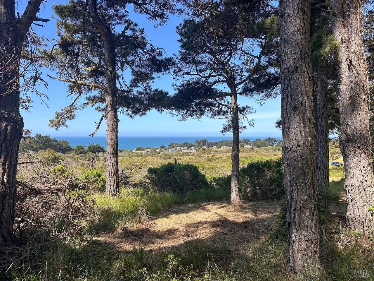 35995 Highway 1 - Photo 1