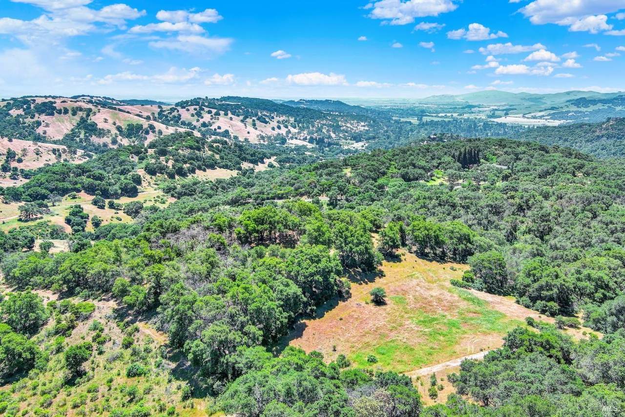 4661 Green Valley Lane - Photo 1