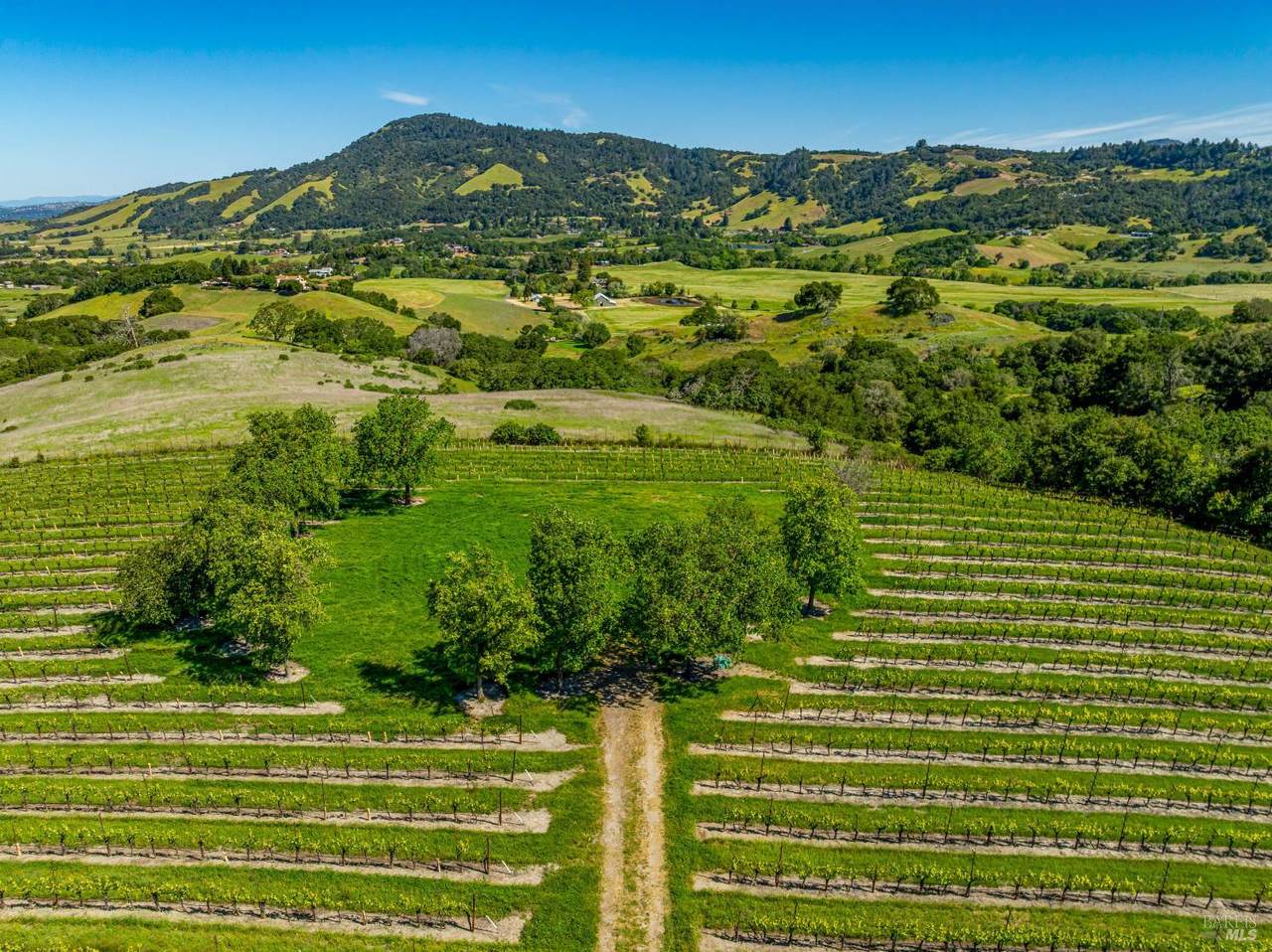 4560 Sonoma Mountain Road - Photo 1