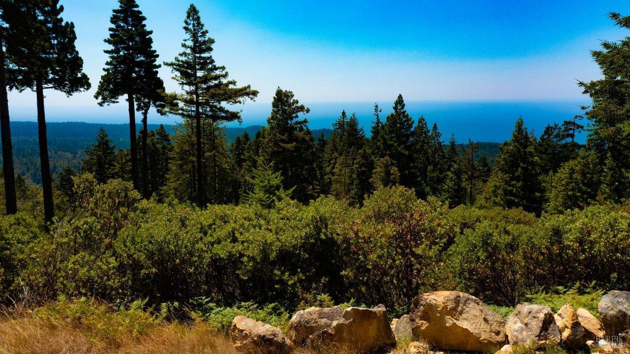 44591 Zettler Road - Photo 1