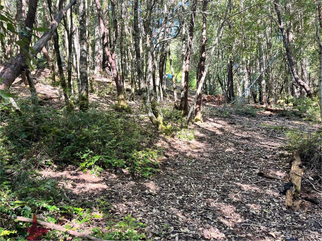 25143 Blue Jay Place - Photo 1