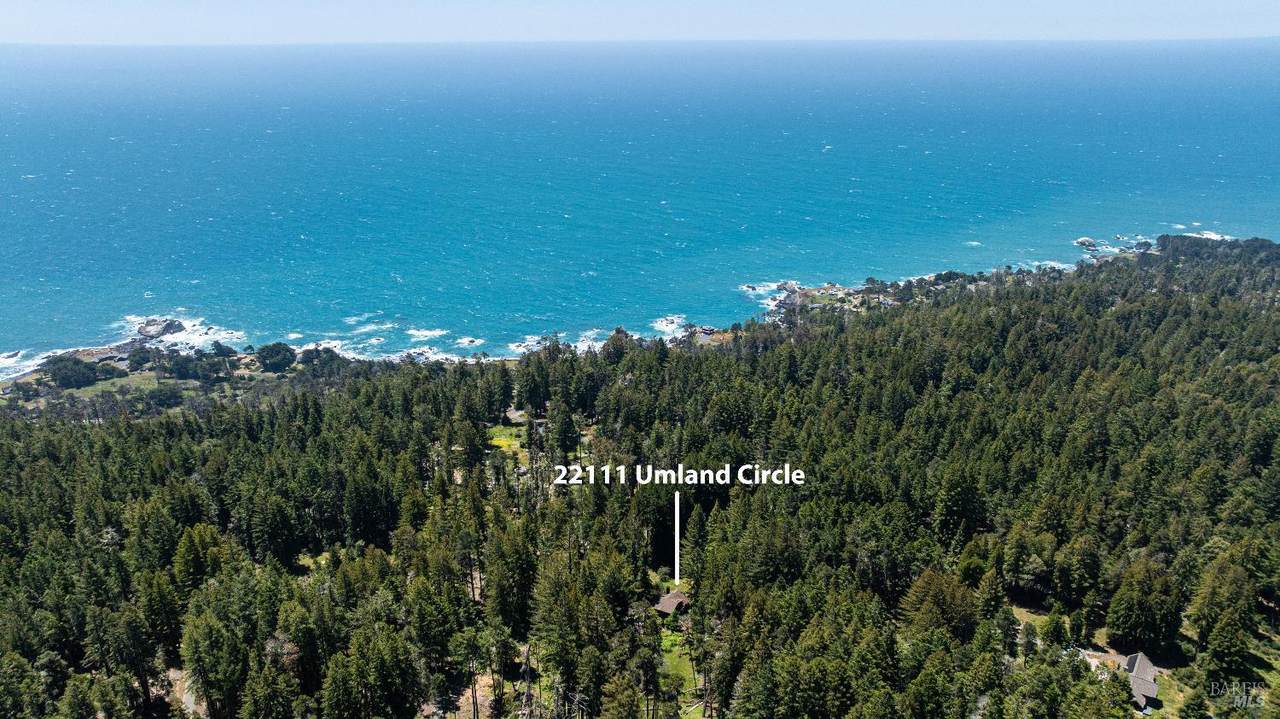 22111 Umland Circle - Photo 1