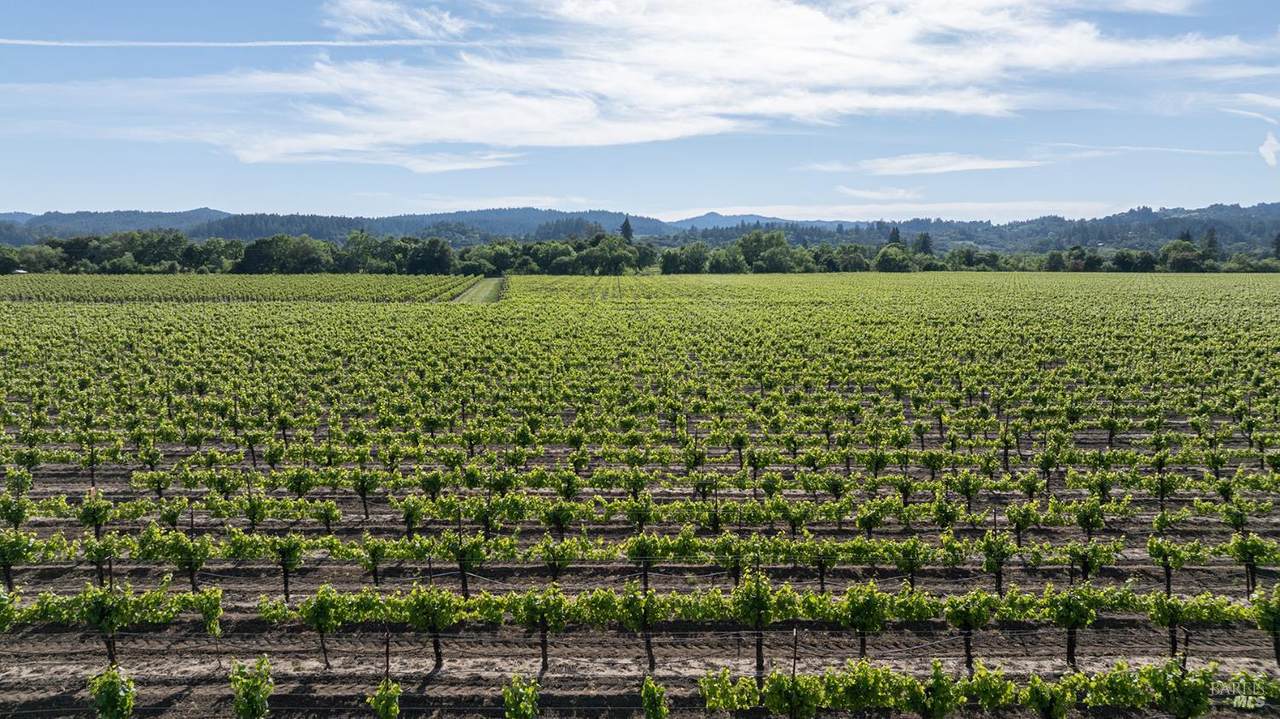 374 Kinley Drive - Photo 1