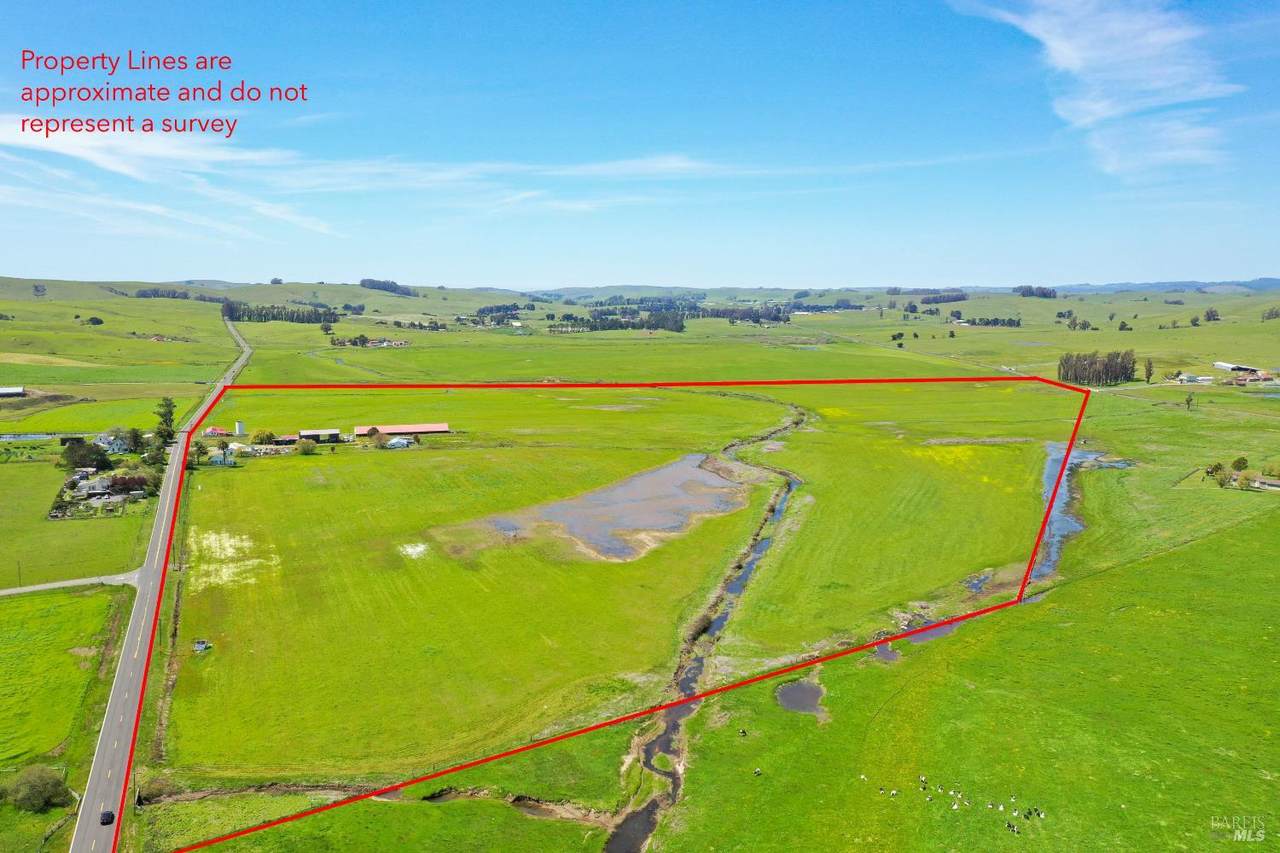 1140 Tomales Road - Photo 1
