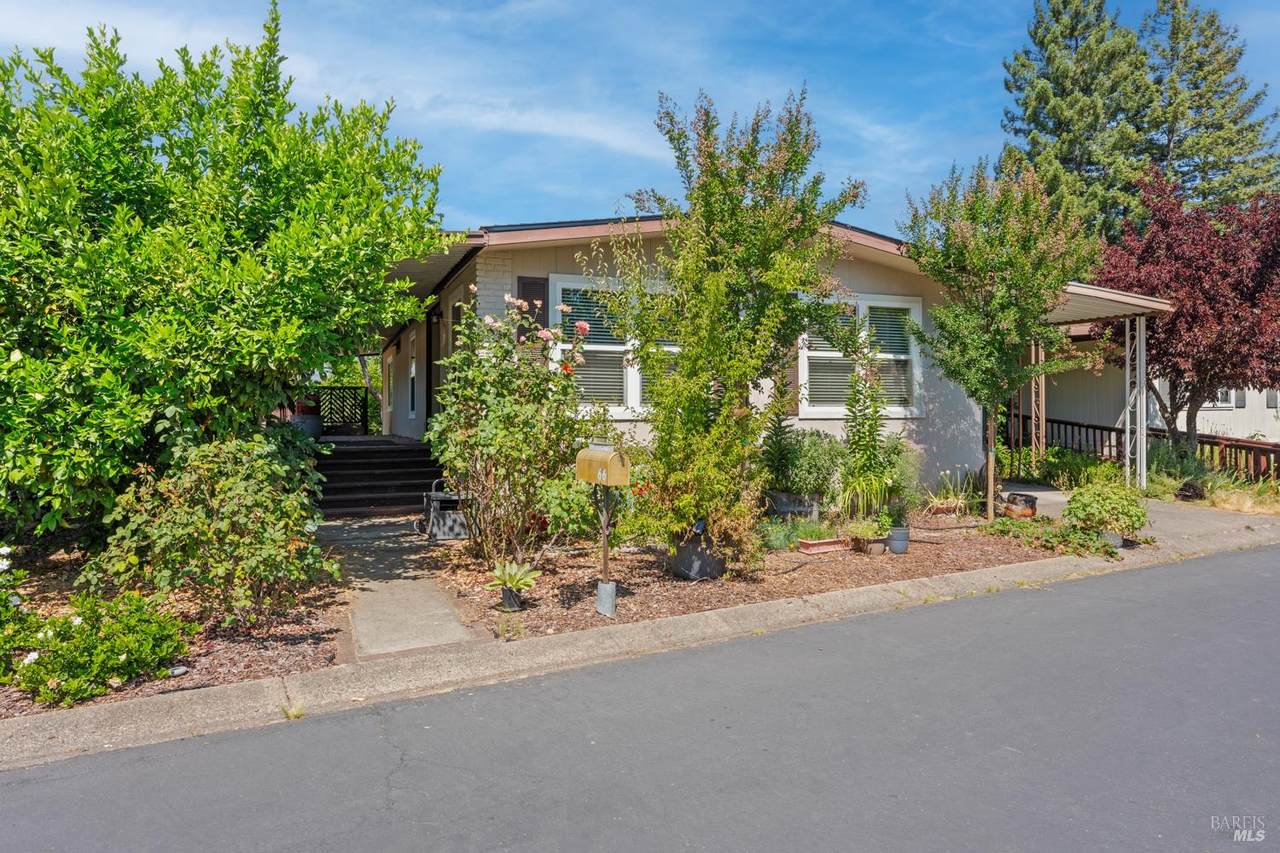 66 Bonita Place - Photo 1
