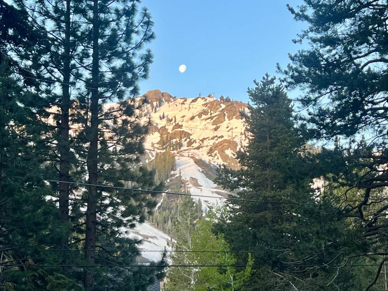 1560 Lanny Lane - Photo 1