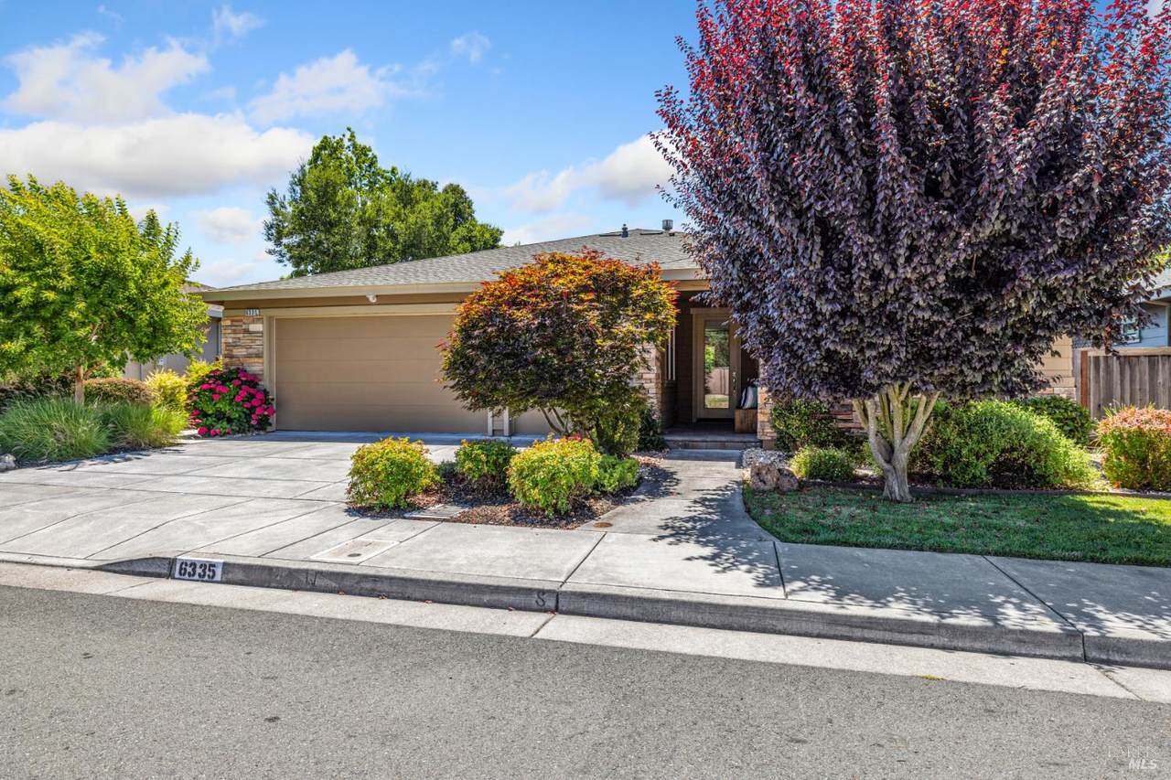 6335 Pine Valley Drive - Photo 1