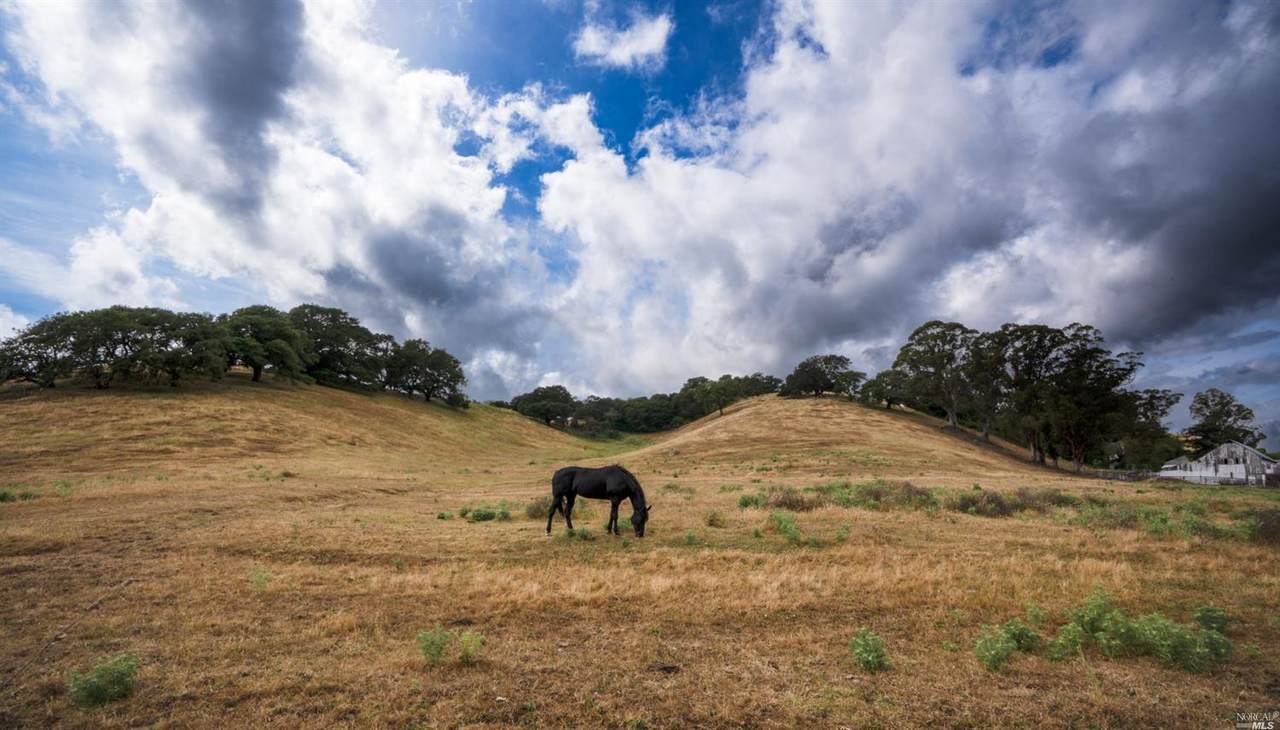 0 Foster Road - Photo 1