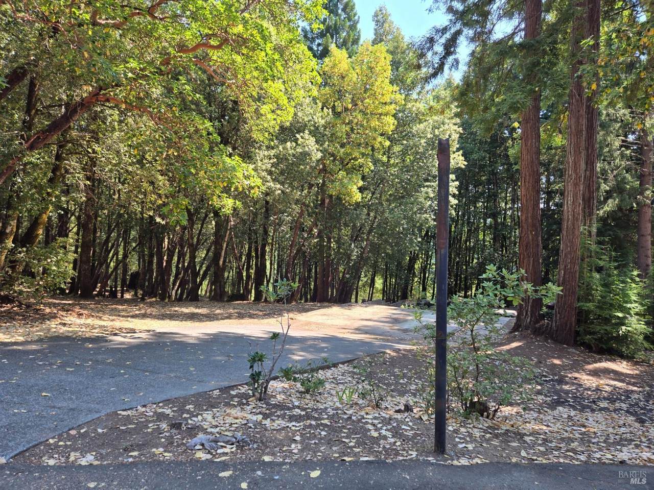 24521 Lilac Drive - Photo 1