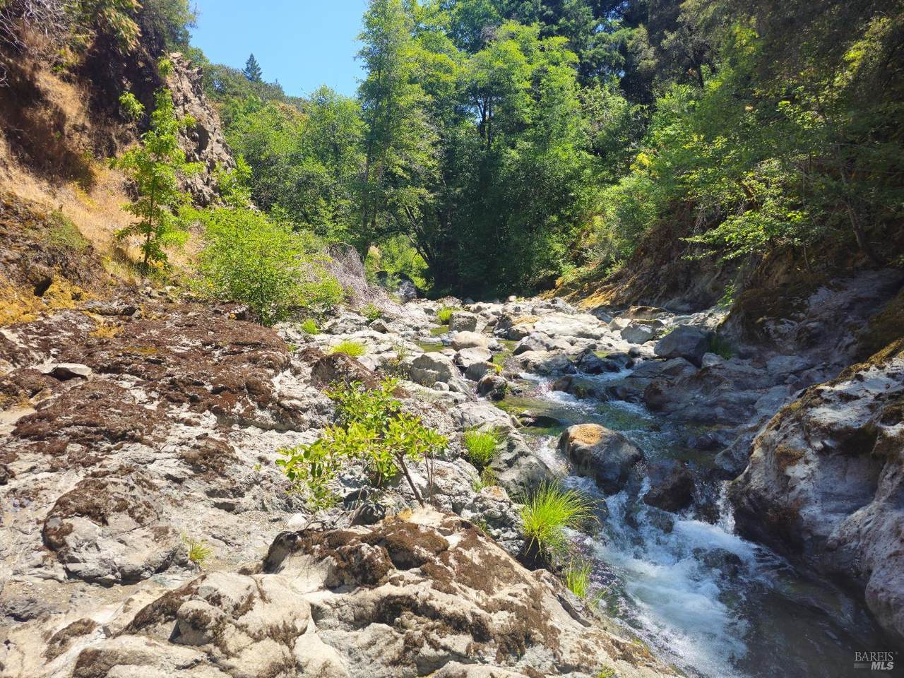 58901 Hwy 101 Highway - Photo 1