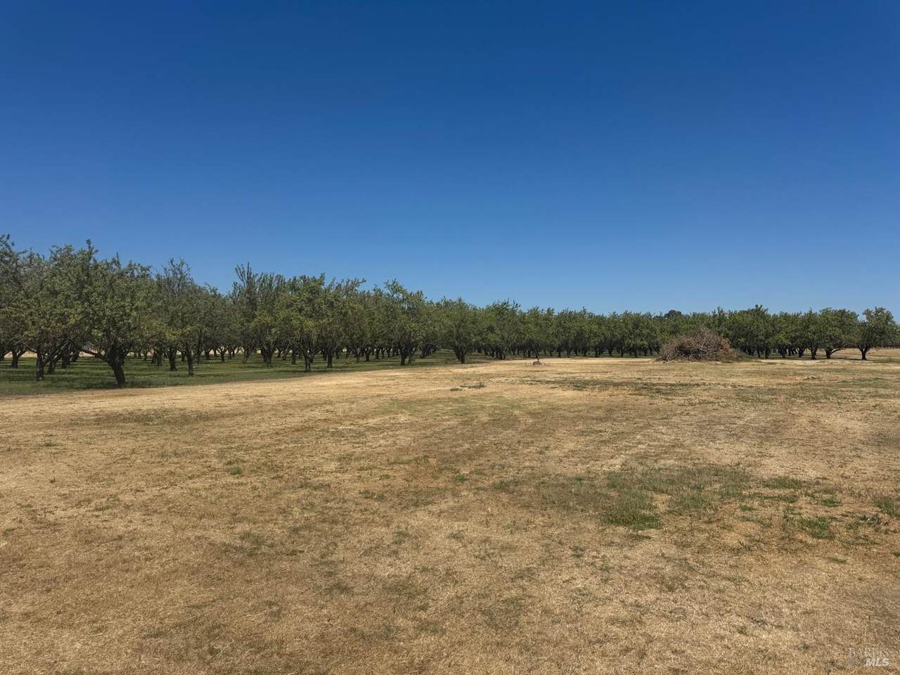 7926 Schroeder Road - Photo 1