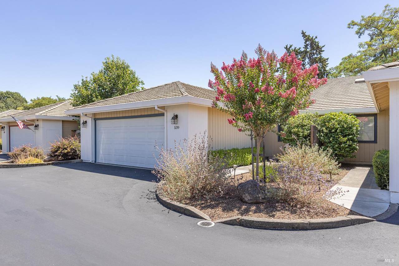 539 Curtin Lane - Photo 1