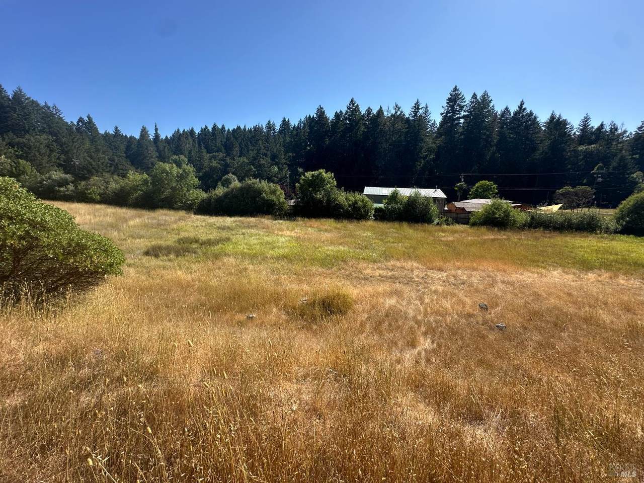 25460 Madrone Way - Photo 1