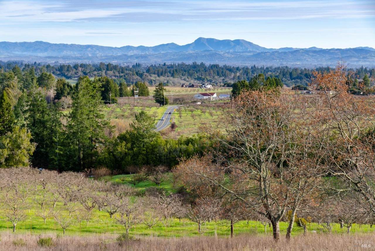 459 Gold Ridge Road - Photo 1