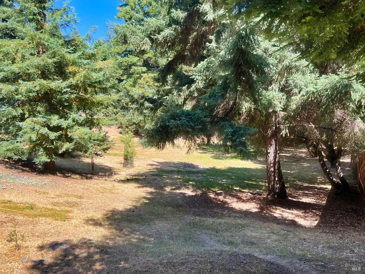 23849 Daisy Court - Photo 1
