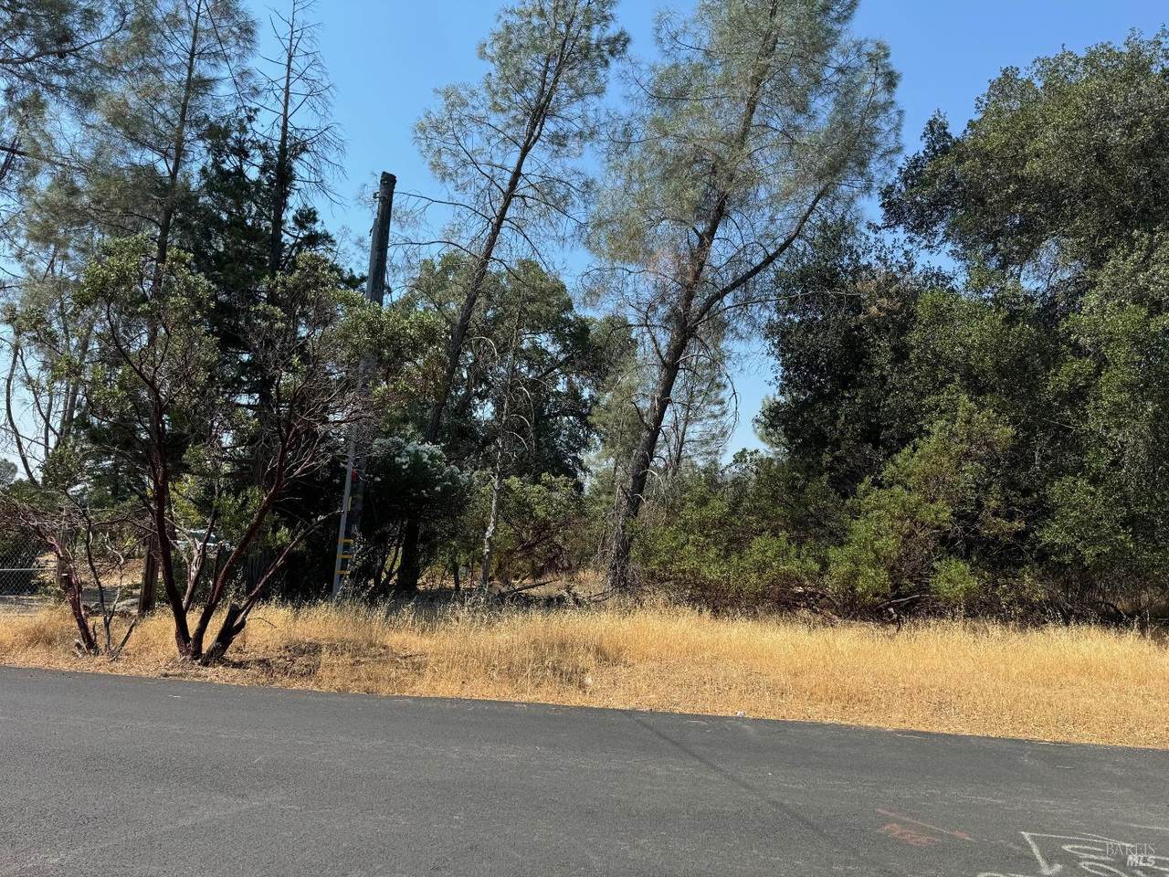3049 Wolf Creek Road - Photo 1