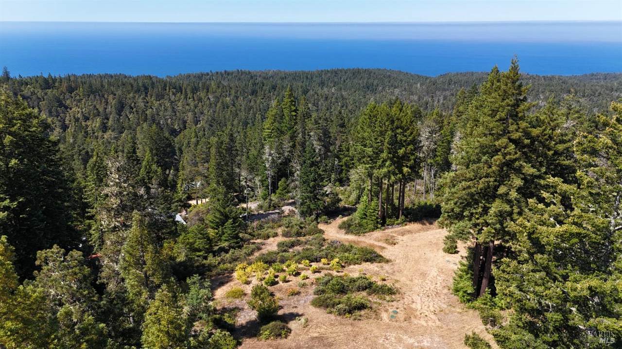 44035 Iversen Road - Photo 1