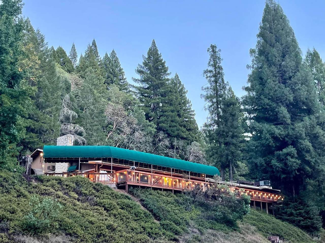 24675 Birch Street - Photo 1