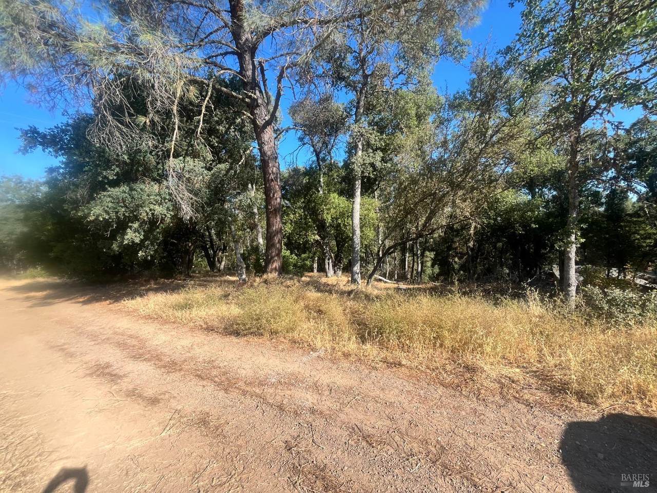 15316 Brannan Street - Photo 1