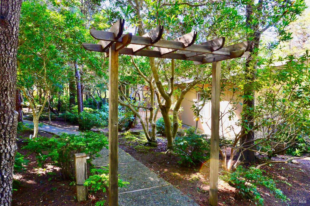 43300 Little River Airport Road - Photo 1